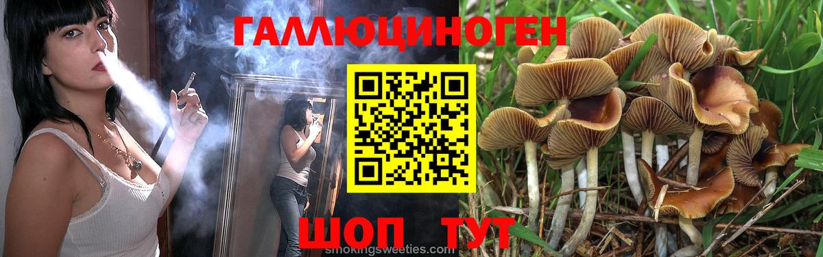 Галлюциногенные грибы MAGIC MUSHROOMS  Вход с VPN  Каменск-Уральский 