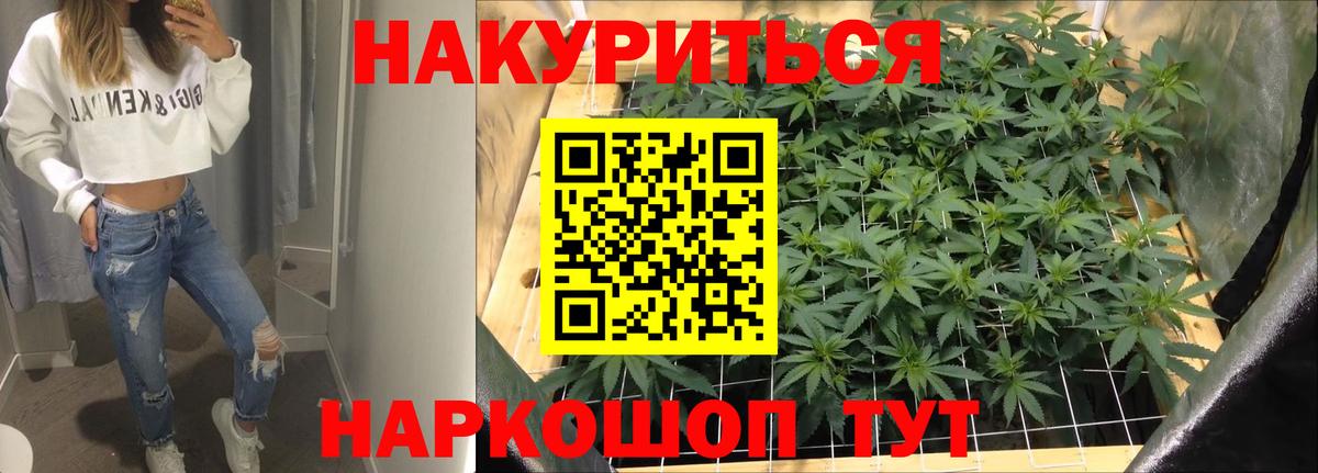 Каннабис сатива Каменск-Уральский